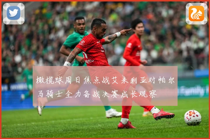 橄榄球周日焦点战艾米利亚对帕尔马骑士全力备战决赛成长观察