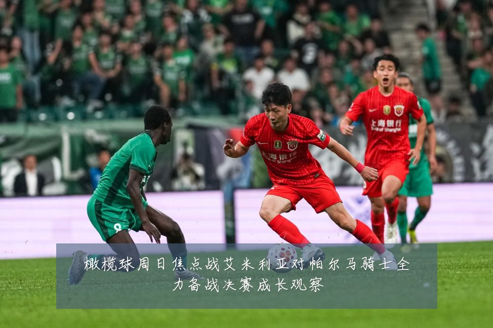 橄榄球周日焦点战艾米利亚对帕尔马骑士全力备战决赛成长观察