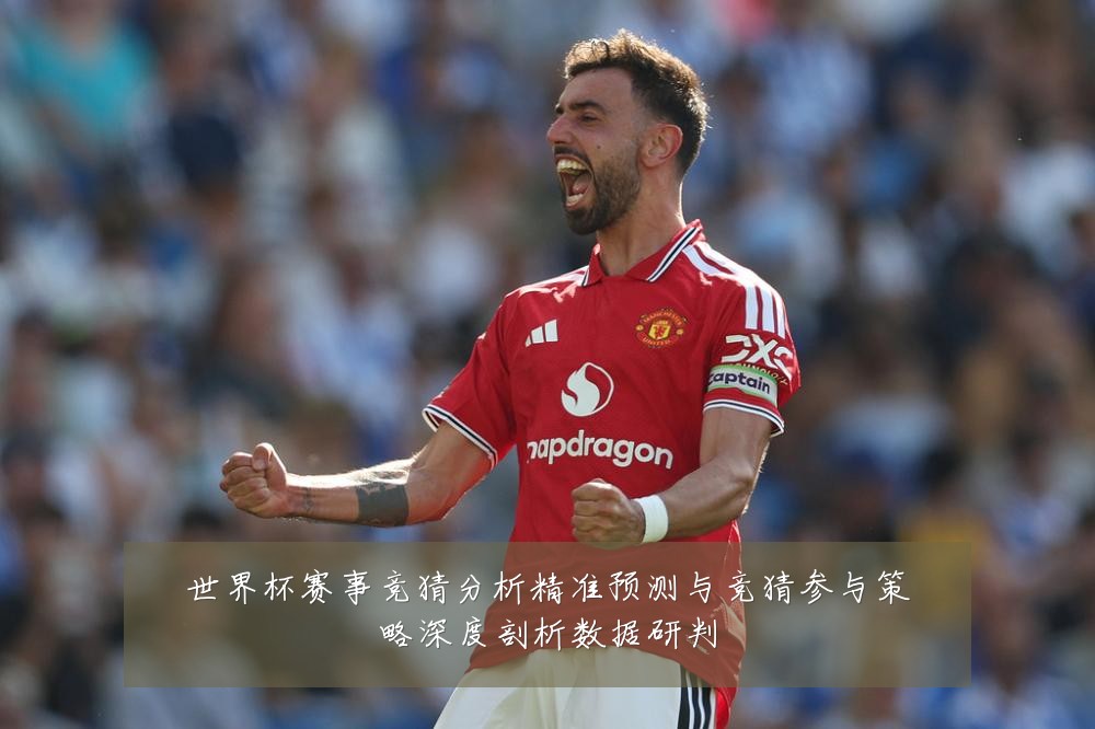 世界杯赛事竞猜分析精准预测与竞猜参与策略深度剖析数据研判